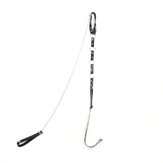 Anal Hooks with Collar 5853 Leash Hook and Kinky Anal EverydayUse 1005